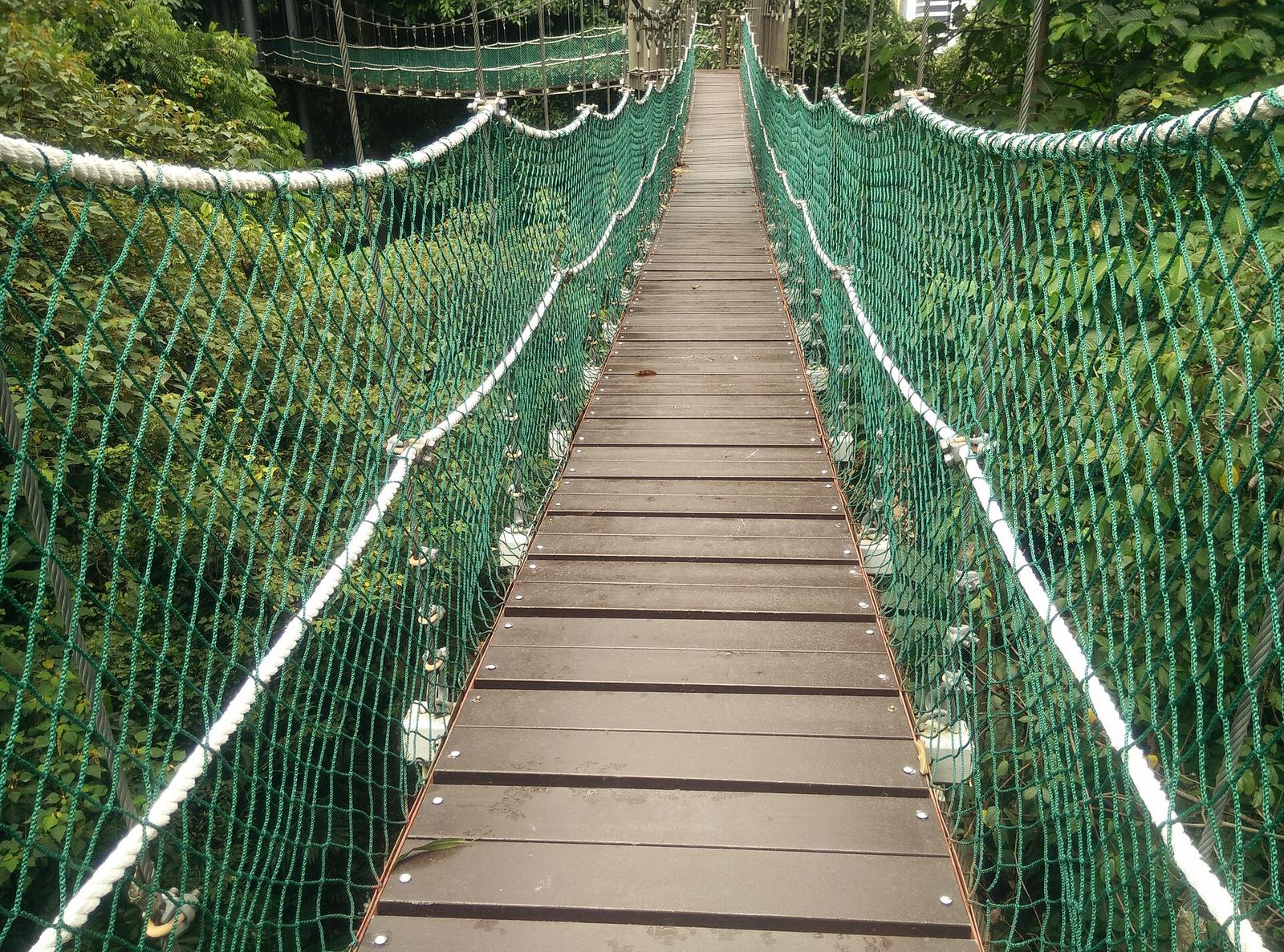 KL Forest Eco Park: hutan hujan dan jambatan kanopi di jantung bandaraya